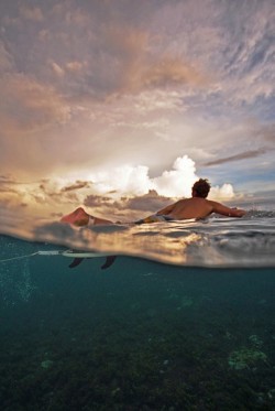 surfs-on-oceanavenue:  surfs up x 