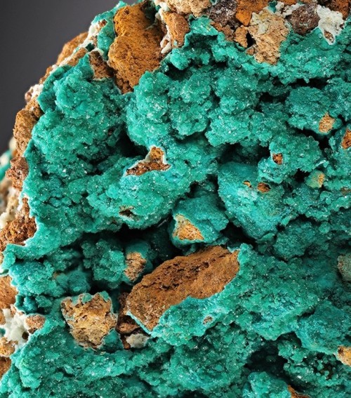Rare Kipushite on Pseudomalachite - Kipushi Mine, Kipushi, Katanga (Shaba), DR CongoKipushite is a c