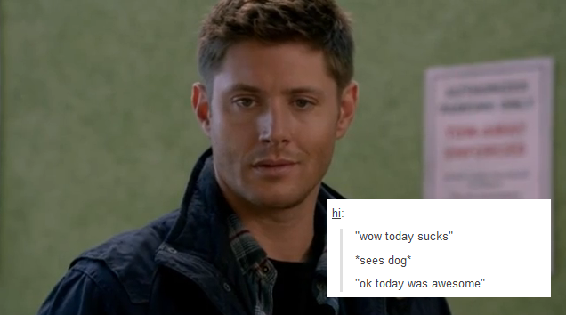 sobs uncontrollably