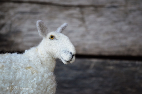 Needle Felted Blue Faced Leicester sheep.  