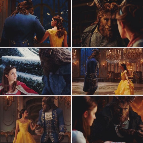 Beauty and the Beast • Looking at each other