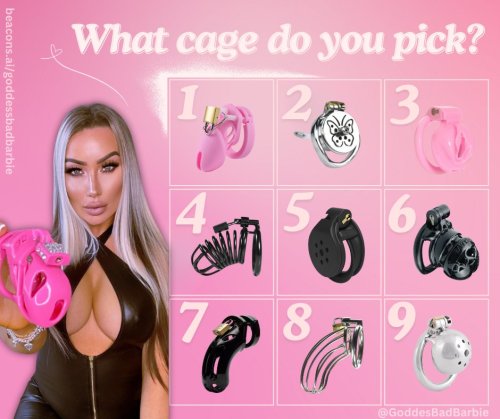 What Chastity Cage Do You Pick?