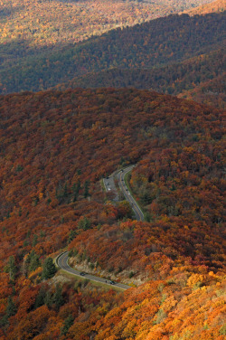 cornersoftheworld:  Shenandoah National Park, Virginia | by Shahid Durrani