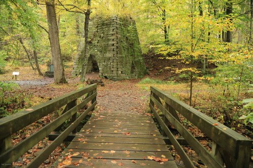 Leftovers from a late October hike at Coopers Rock State Forest.