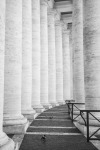 idunemilia:
“St. Peter’s Square, Rome
”