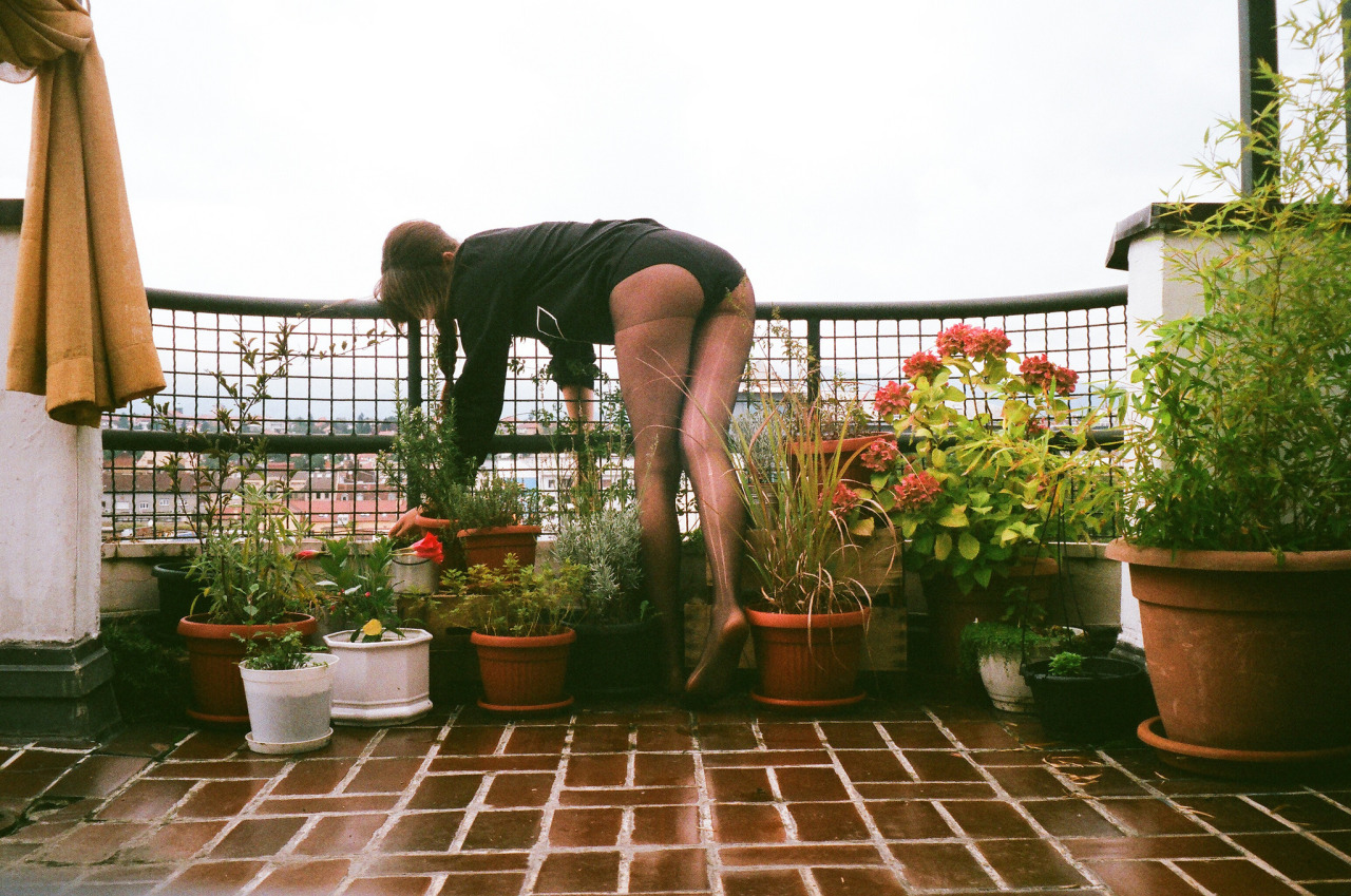 bsfnr:    	žena palma 	  	 				 					 						 					 				 			   