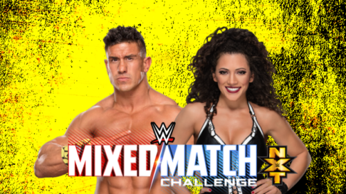 themcmeggers:NXT MIXED MATCH CHALLENGE AU: NXT hosts an 8 team tournament to crown the very first NX