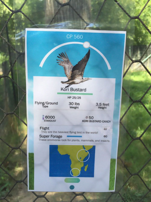 46187:  (via Zookeeper Can’t Take It Anymore, Decides To Add Pokemon Go Signs Next To Animals | Bored Panda) 