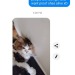 ninjamelissajulien:medusas-trophy-wife-deactivated:medusas-trophy-wife-deactivated:LÖÖPS