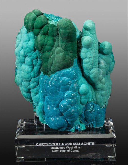 Chrysocolla & Malachite Stalactite - Mashamba West Mine, Kolwezi District, Katanga Copper Cresce