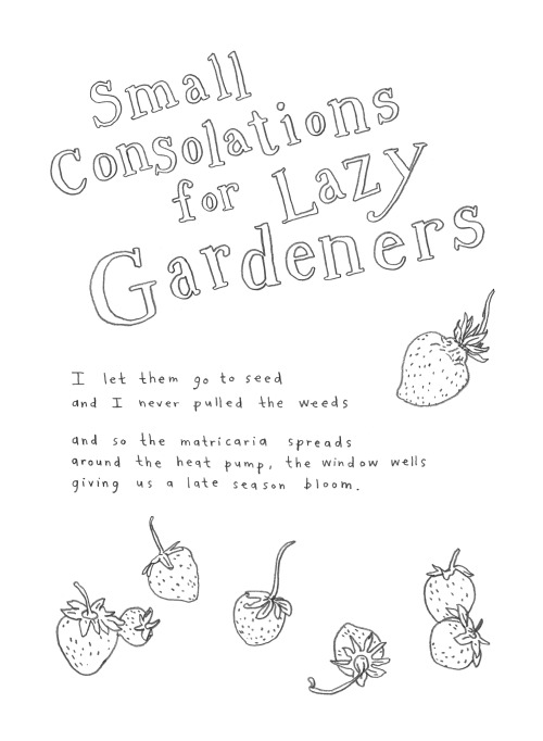 SMALL CONSOLATIONS FOR LAZY GARDENERS