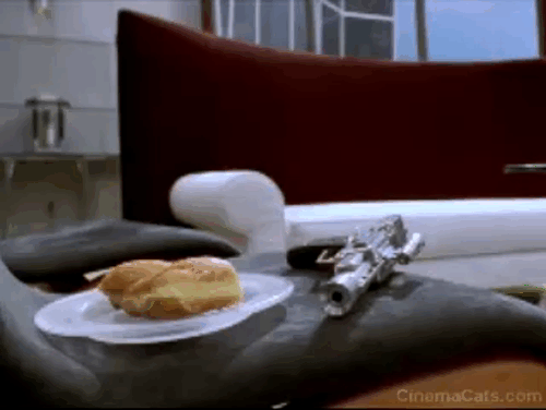 thecutestcatever:  f1rstperson:   themintycupcake:  thecutestcatever:  thecutestcatever:  I will never understand why some cats have a bread addiction like No cat, …….you are a carnivorous predator.  You no eat bread  What are you even doing     