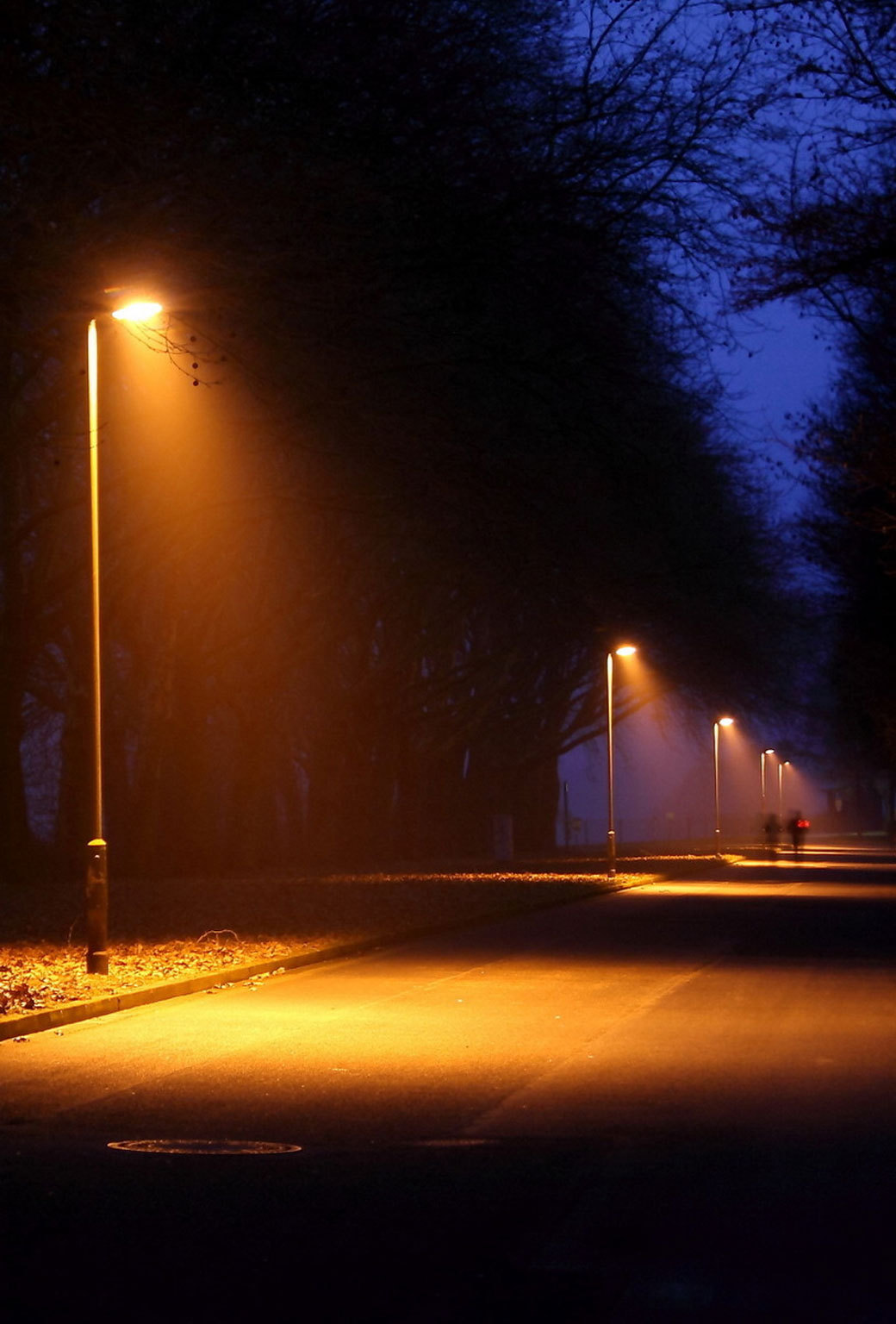  — Street Lights in a Dark Road HD wallpaper