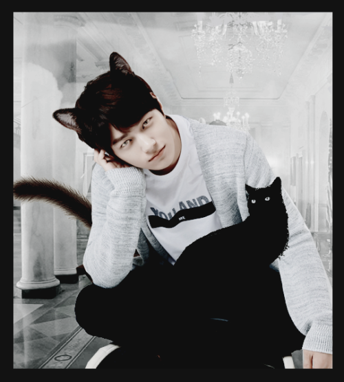 Catboy!Myungsoo