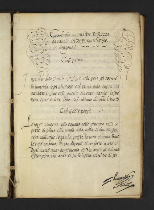 LJS 29: Extratto da un libro de razza da cavalli del re Ferrante vechio de Aragona, probably written