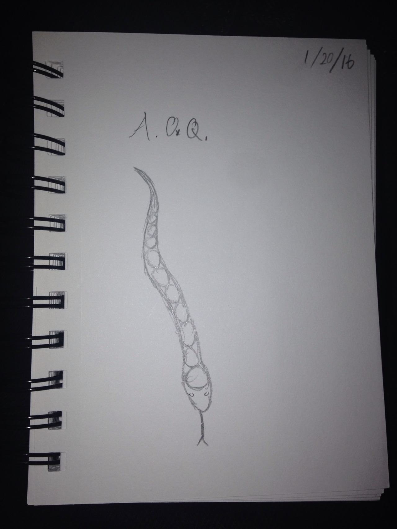 I drew fan art of your snake.thank u i lov this snek &lt;333333