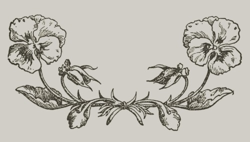 Mimosa leaves - Grace Denio Litchfield & Helen Maitland Armstrong, ill. - 1895 - via Internet Ar