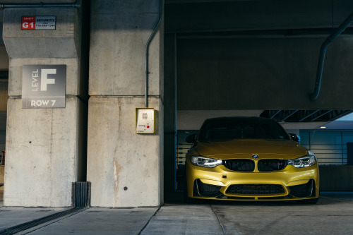 The Bimmer Blog