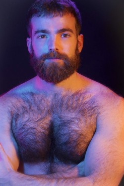 GAY BEAR FOR CHASERS