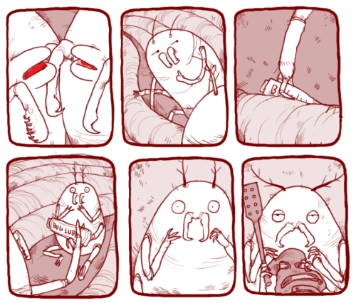 iguanamouth: happy valamementimes
