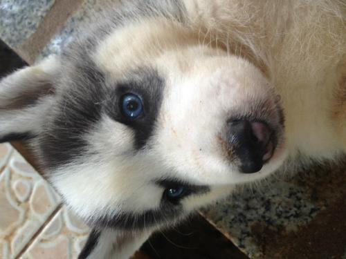 dogwarts-family:MattyAwwwwww this is why we named him after Matt Bomer. :)