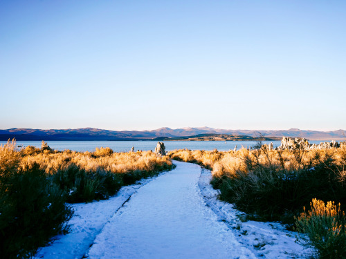 Mono Lake, CA Instagram | Website  