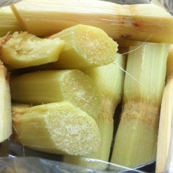 quickweaves:faminethenfeast:A bag of cane #bkshit #islands #tasteoftropics #sugarcaneyas yas yas !!!