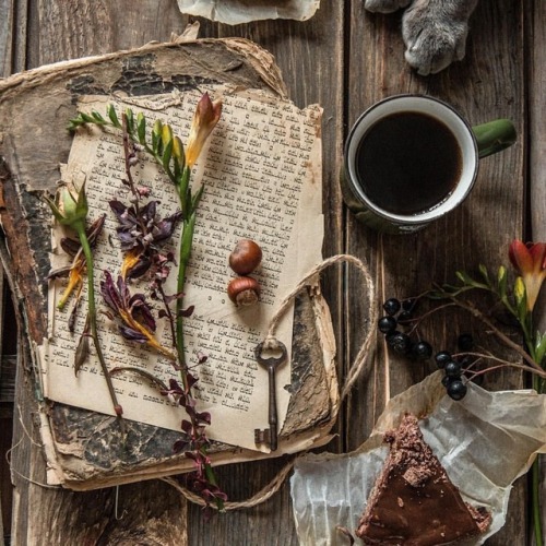 fortheloveofcare:‘Spot of Tea’ Cozy Witchy Moodboard requested by anon