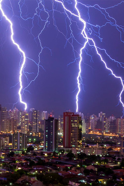 atmospheric-phenomena:  vurtual:  Lightning - Brazil (by Fabio Ito)  Like | Phenomena | Nature | Join! 