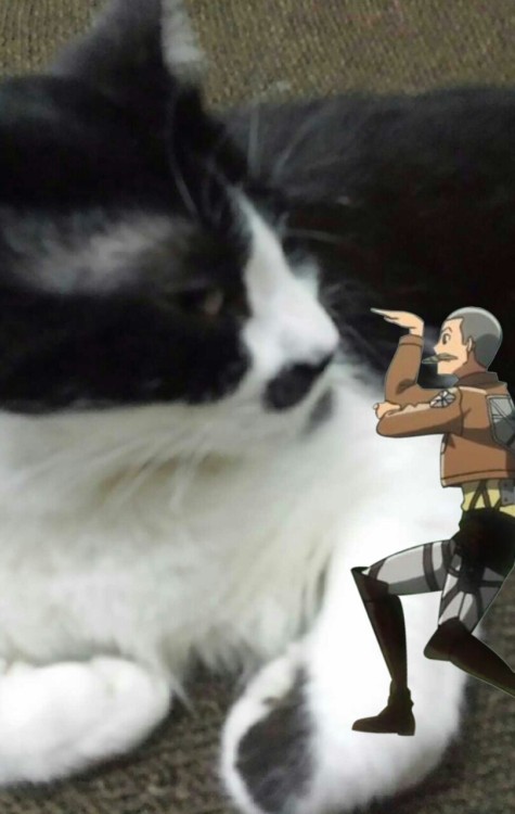 ya-boy-levi:  moses-relatable:  motorcyclles:  I found it I found the best snk app ever  Holy fuck  i need to know this now  The app is called Titan Camera Free and can be found on Google play