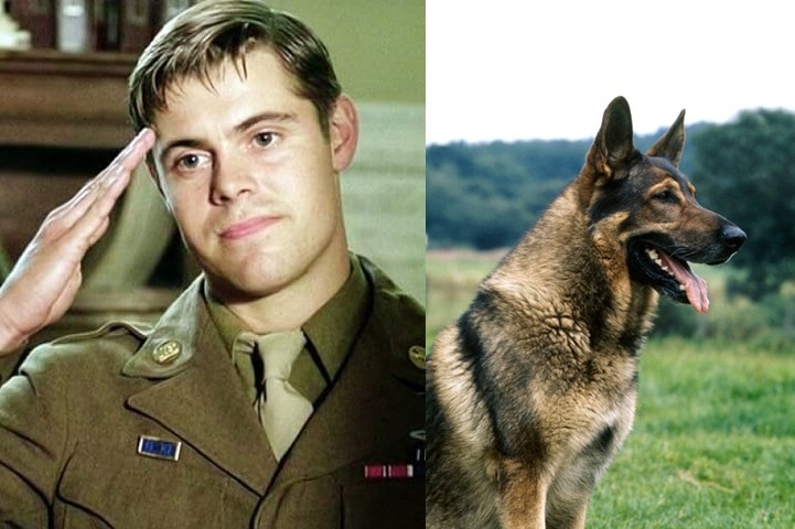 neverbelikeyoume:  Easy Company as dogs, because they are all a bunch of puppies