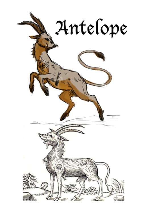 archaeologysucks: cryptid-coyote: new art meme: redraw crappy medieval artwork of animals These are 