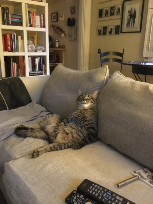 roylustang:why does he sit like a grandpa who fell asleep watching tv