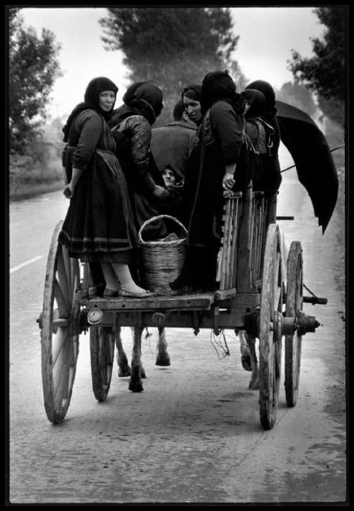 de-salva:  Going to market (Thessaly, Greece, 1964) Photo by Constantine Manos 