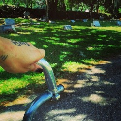 Riding my bike through a cemetary. Kissing