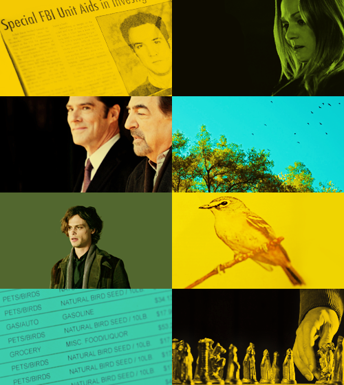 cmcaps: 10x13, Nelson’s Sparrow.