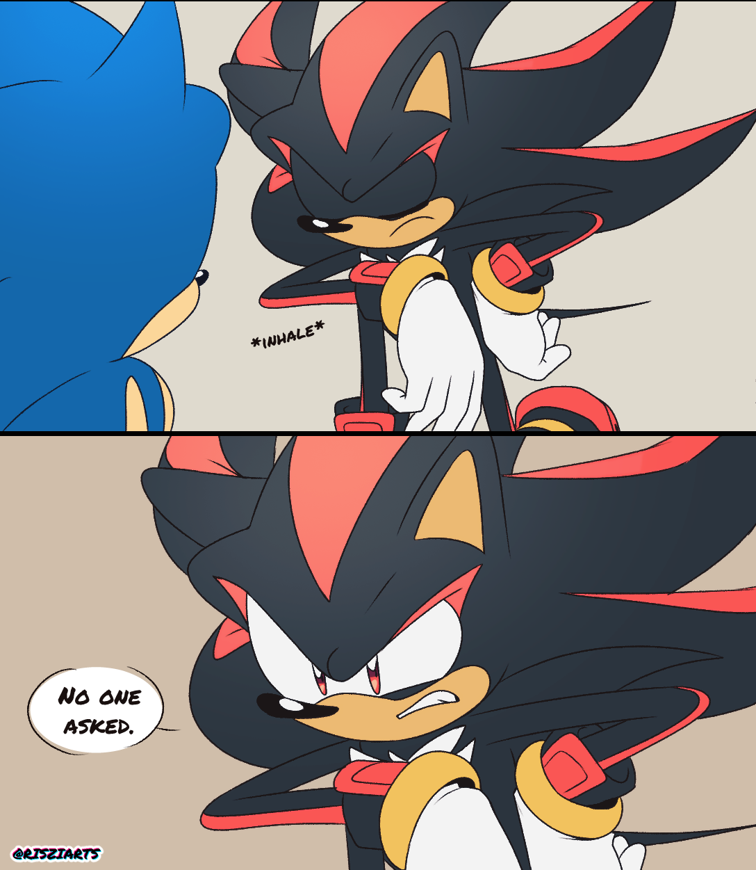 Wait if Shadow doesn't age…”-art by Risziarts. : r/SonicTheHedgehog