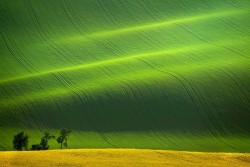 outdoors-photography:  Spring in South Moravia