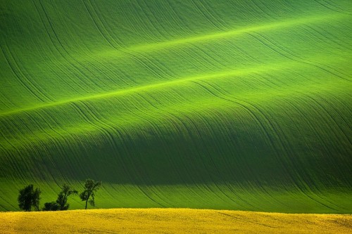 outdoors-photography:Grass Fields Flowing