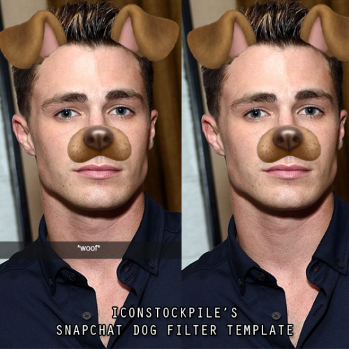 Here’s my first attempt at a template for snapchat’s dog filter. This post contains two templates I&