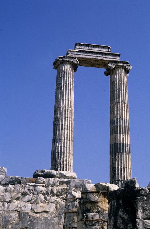 last-of-the-romans:The Temple of Apollo in Didyma
