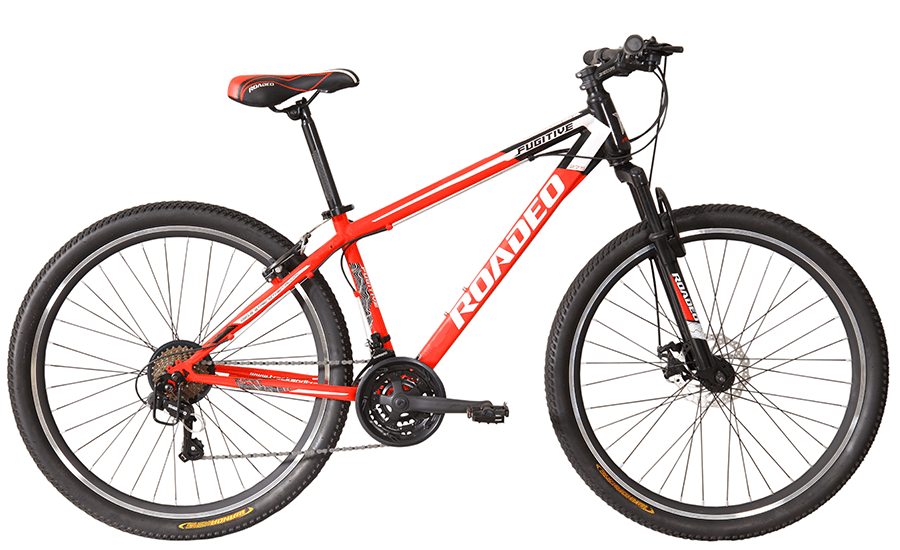 roadeo fugitive 29 single speed