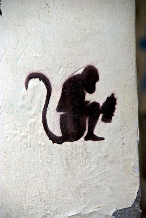 graffiti monkey