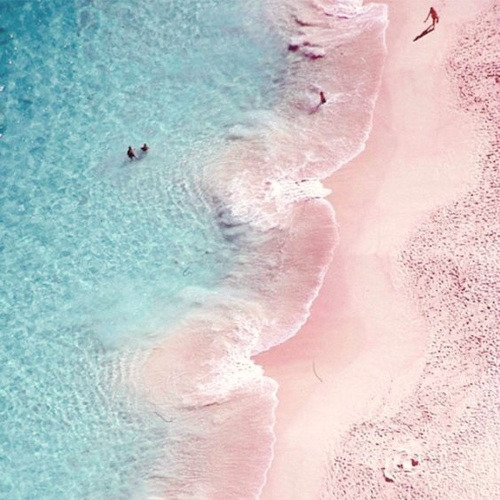 fireworksphil:only asleep in a pool could i ever be caught in such a colourful situationdan + teal a