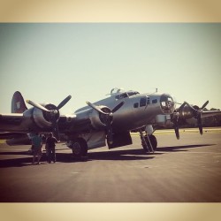 getwiththe40s:  B-17 ‘Aluminium Overcast’