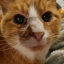 gingeraleaddict