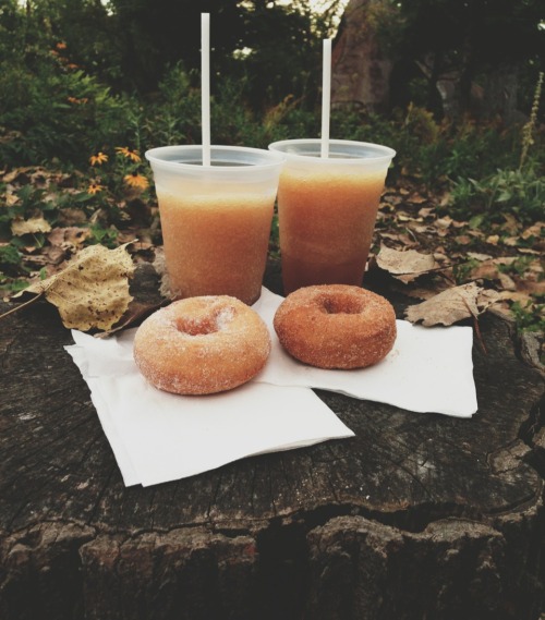 simplici-tea:breakallmychains:Apple cider slushies + apple donuts ok bye.what fall is all about peop