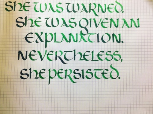 she persisted