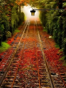 bluepueblo:  Double Rails, Pennsylvania photo via erica