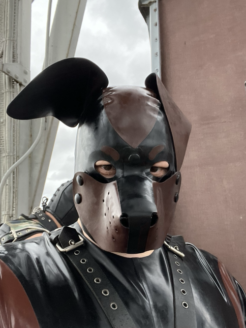 Darklands Day 2 - Part 2/1Fluttering Ears Due To Strong Wind